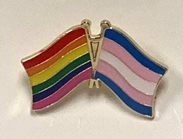 Rainbow Transgender Pride Lapel Pin
