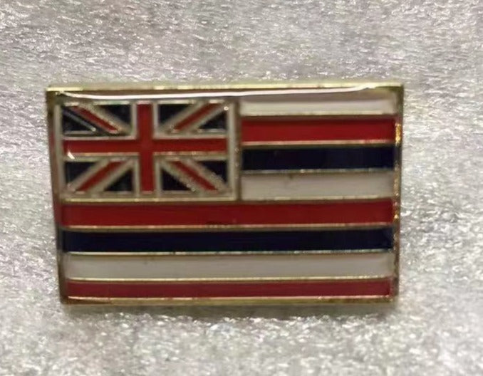 Hawaii Rectangle Lapel Pin