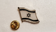 Israel Wavy Lapel Pin