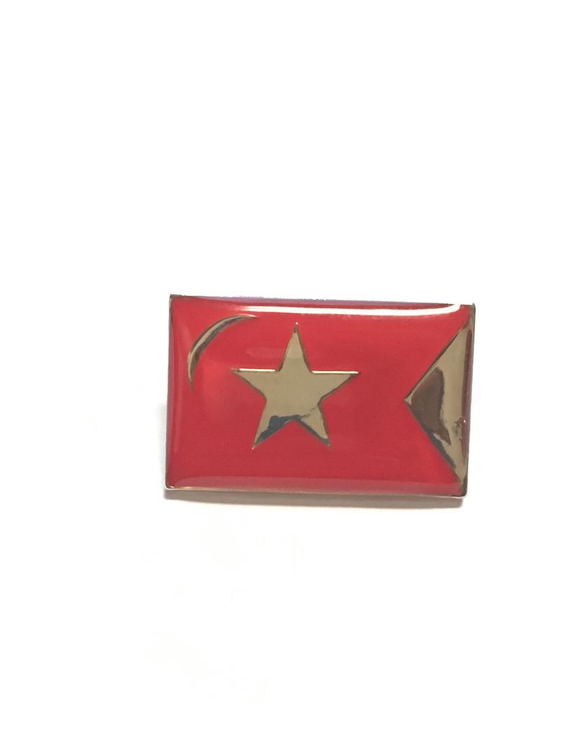 South Carolina Secession Lapel Pin