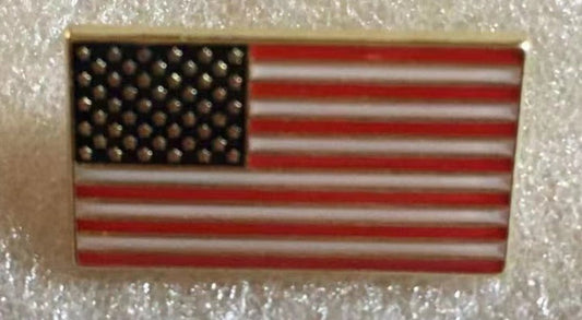 USA American Flag Large Lapel Pin
