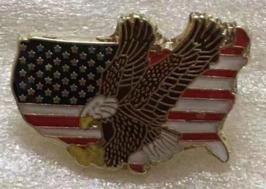 USA American Map Eagle Lapel Pin