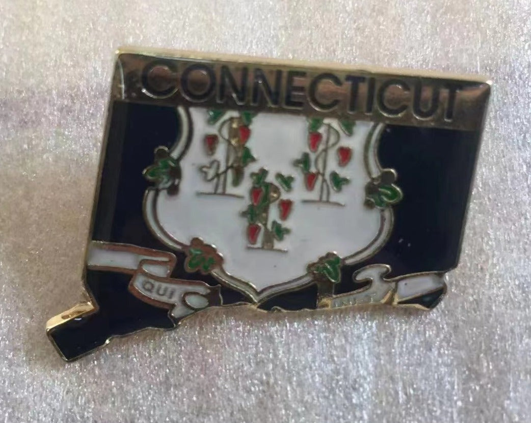 State Pin Design Connecticut State Map Lapel Pin – PinsByTheDozen