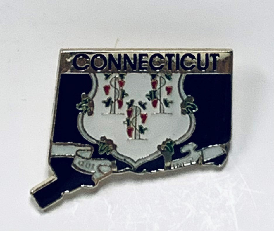 Connecticut State Map Lapel Pin