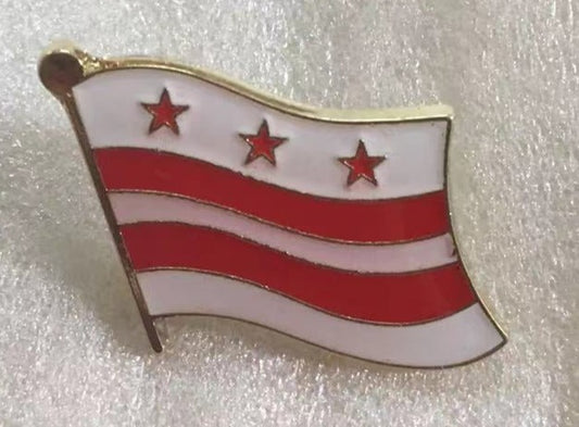 District Of Columbia Wavy Lapel Pin Washington DC