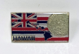 Hawaii State Map Lapel Pin