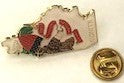 Illinois State Map Lapel Pin