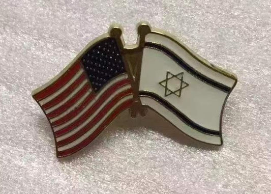 USA Israel Friendship Flag Lapel Pin